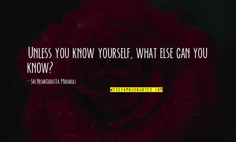 Dont Count Me Out Quotes By Sri Nisargadatta Maharaj: Unless you know yourself, what else can you