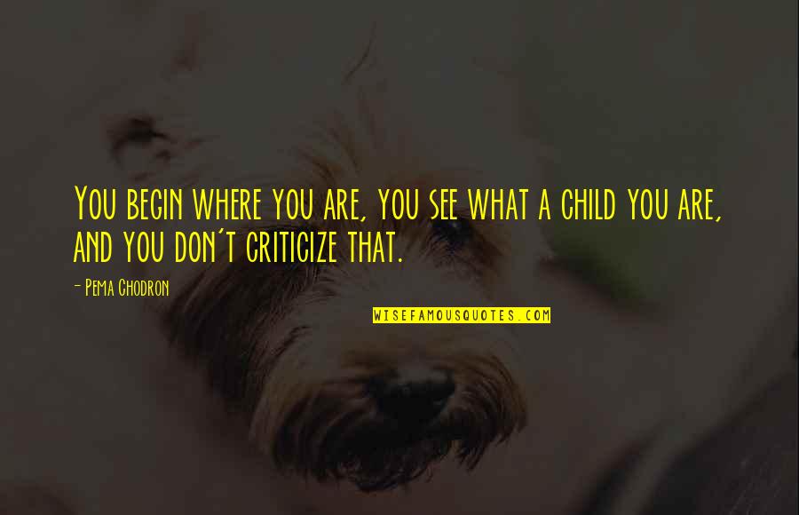Don't Criticize Quotes By Pema Chodron: You begin where you are, you see what