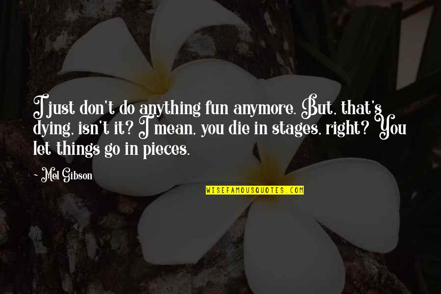 Don't Do Anything Quotes By Mel Gibson: I just don't do anything fun anymore. But,