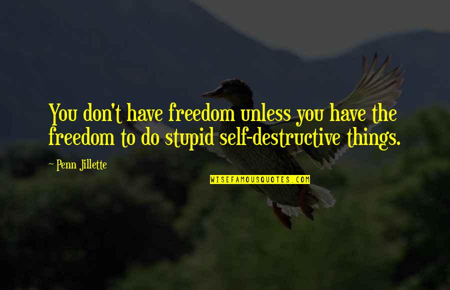 Don't Do Stupid Things Quotes By Penn Jillette: You don't have freedom unless you have the