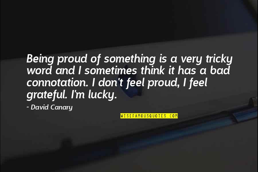 Don't Feel Quotes By David Canary: Being proud of something is a very tricky