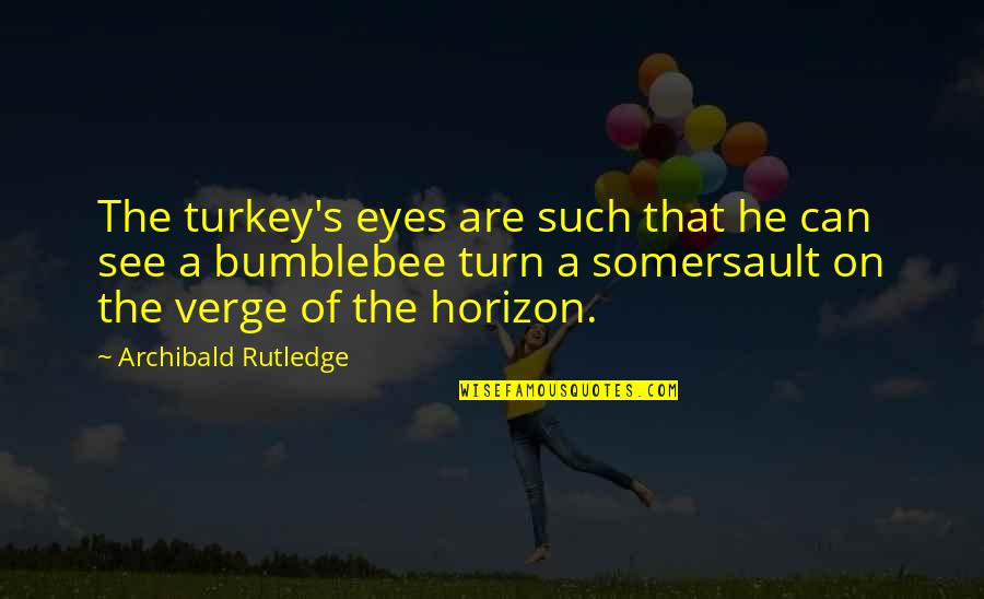 Dont Feel Stressed Quotes By Archibald Rutledge: The turkey's eyes are such that he can Dont Feel Stressed Quotes By Archibald Rutledge: The turkey's eyes are such that he can