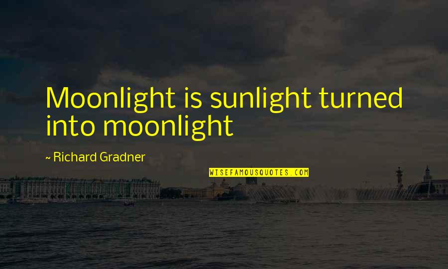 Dont Forget Quotes By Richard Gradner: Moonlight is sunlight turned into moonlight