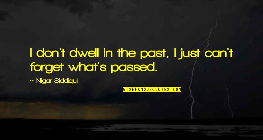 Don't Forget The Past Quotes By Nigar Siddiqui: I don't dwell in the past, I just