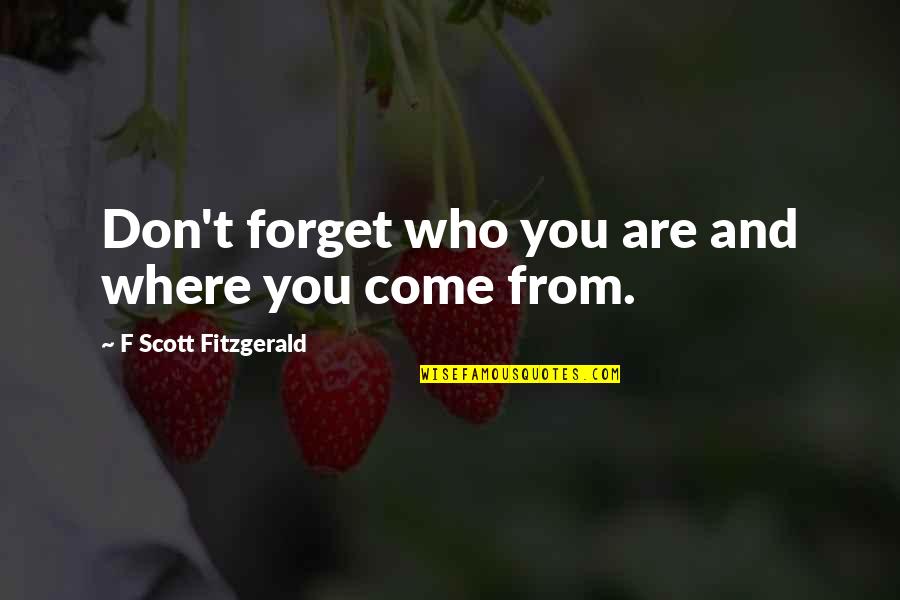 Don't Forget Who You Are Quotes By F Scott Fitzgerald: Don't forget who you are and where you