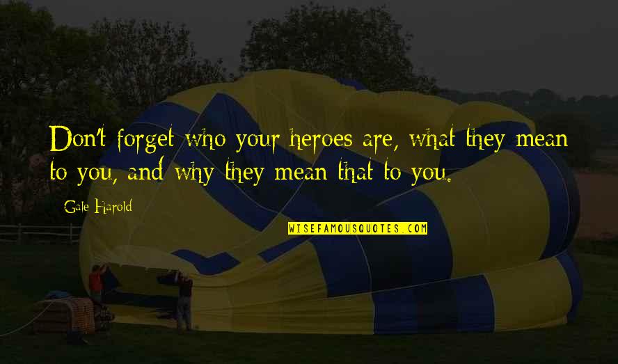 Don't Forget Who You Are Quotes By Gale Harold: Don't forget who your heroes are, what they
