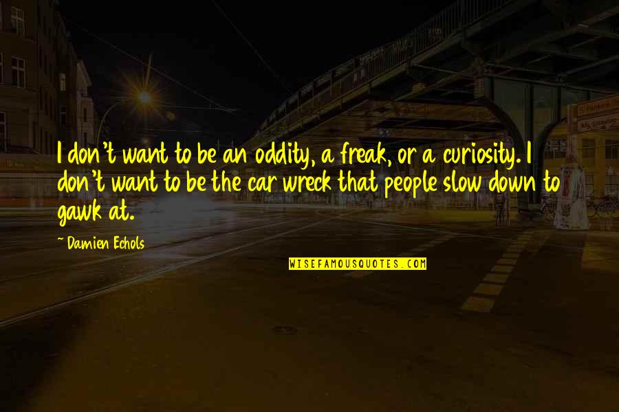 Don't Freak Out Quotes By Damien Echols: I don't want to be an oddity, a