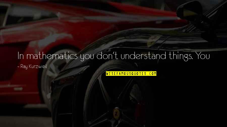 Don't Get Used Quotes By Ray Kurzweil: In mathematics you don't understand things. You just