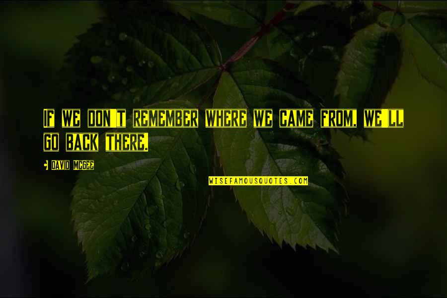 Don't Go Back Quotes By David McGee: If we don't remember where we came from,