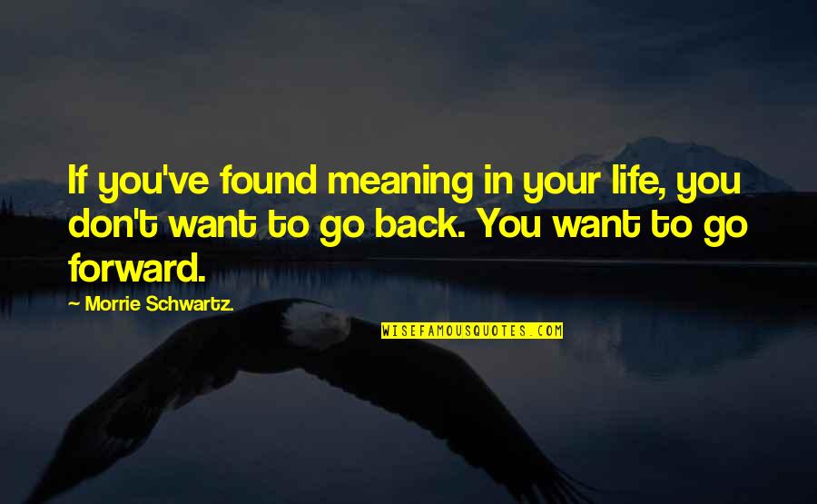 Don't Go Back Quotes By Morrie Schwartz.: If you've found meaning in your life, you