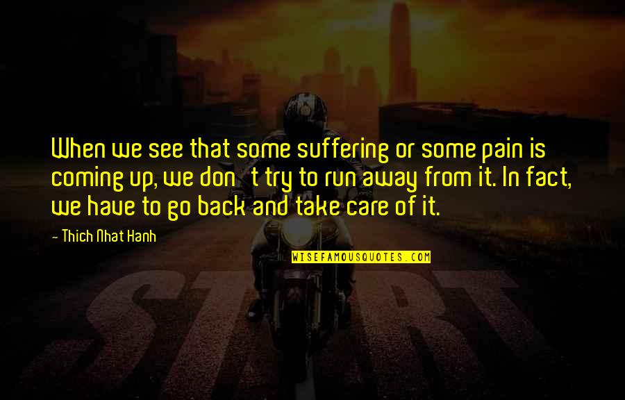 Don't Go Back Quotes By Thich Nhat Hanh: When we see that some suffering or some