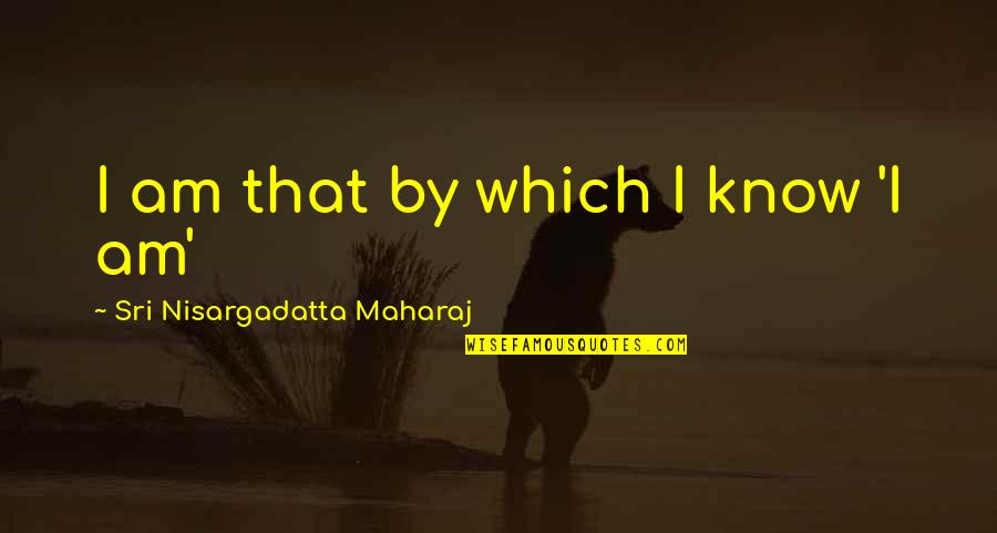 Don't Go Behind My Back Quotes By Sri Nisargadatta Maharaj: I am that by which I know 'I