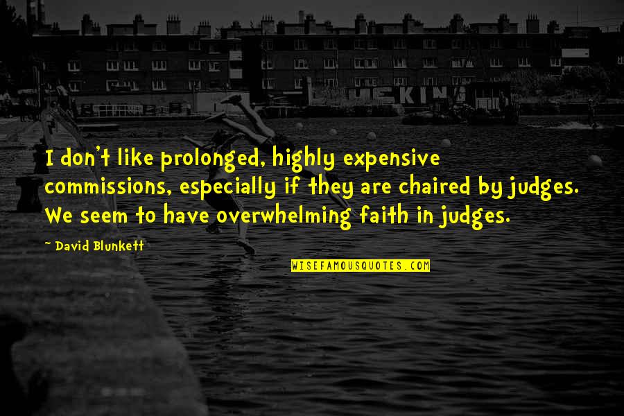 Don't Have Faith Quotes By David Blunkett: I don't like prolonged, highly expensive commissions, especially