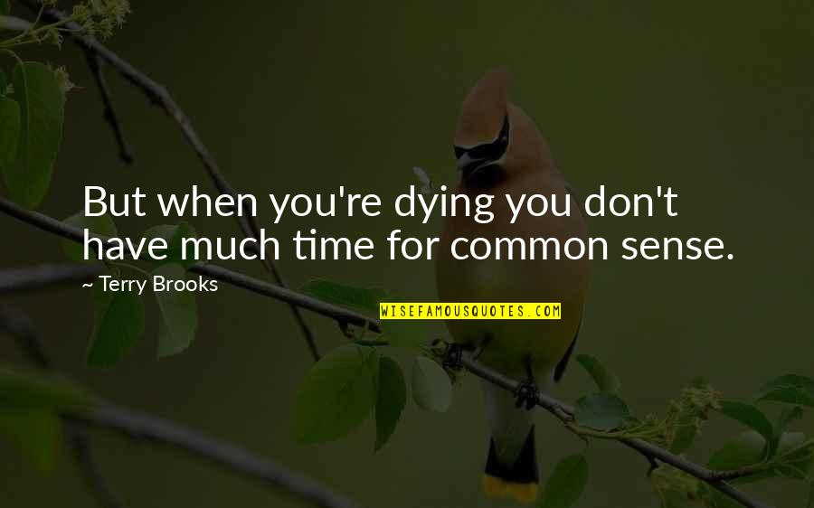 Don't Have Time For You Quotes By Terry Brooks: But when you're dying you don't have much
