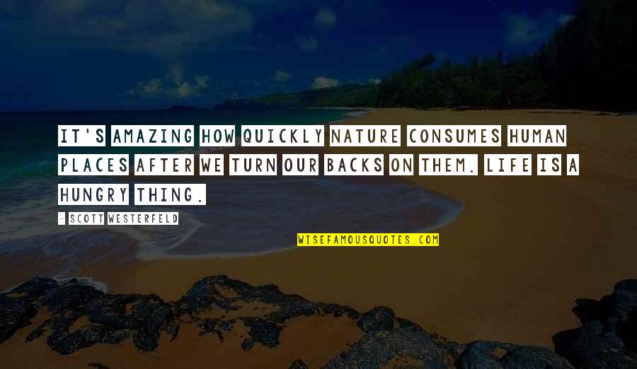 Don't Hold Onto Someone Quotes By Scott Westerfeld: It's amazing how quickly nature consumes human places