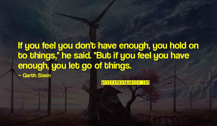 Don't Hold Onto Things Quotes By Garth Stein: If you feel you don't have enough, you