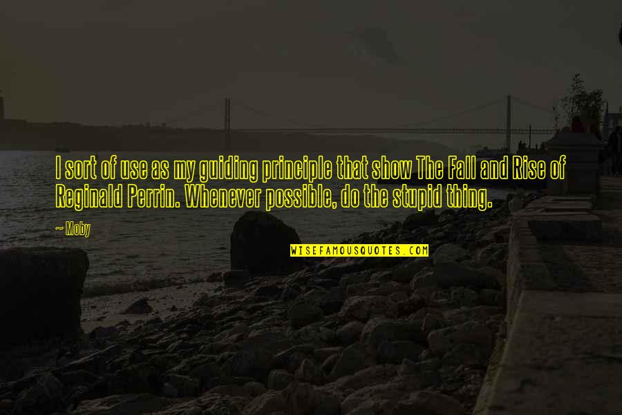 Don't Hurt Someone's Feelings Quotes By Moby: I sort of use as my guiding principle Don't Hurt Someone's Feelings Quotes By Moby: I sort of use as my guiding principle