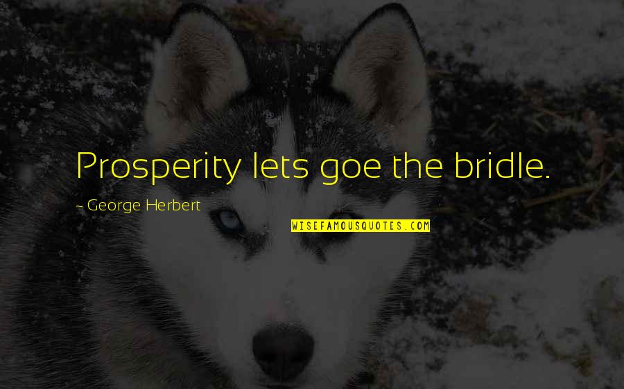 Dont Judge Others Bible Quotes By George Herbert: Prosperity lets goe the bridle.