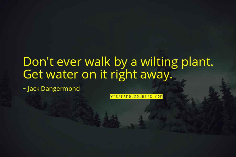 Don't Just Walk Away Quotes By Jack Dangermond: Don't ever walk by a wilting plant. Get