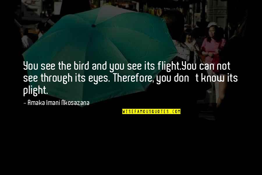 Don't Know The Truth Quotes By Amaka Imani Nkosazana: You see the bird and you see its