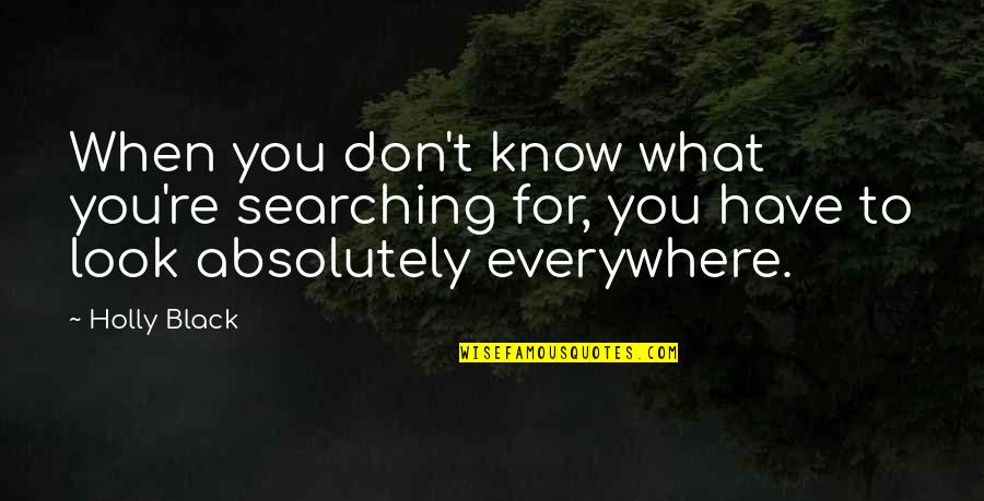 Don't Know What You Have Quotes By Holly Black: When you don't know what you're searching for,