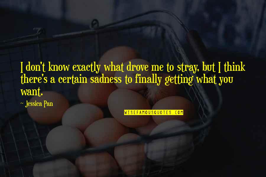 Don't Know What You Want Quotes By Jessica Pan: I don't know exactly what drove me to