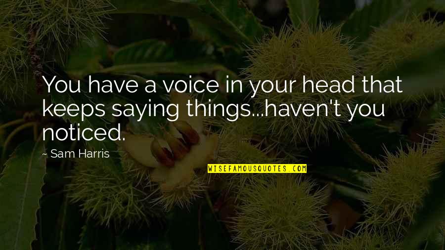 Dont Lead Me On Quotes By Sam Harris: You have a voice in your head that