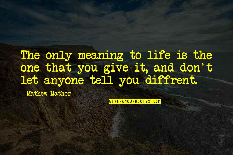 Don't Let Anyone In Quotes By Mathew Mather: The only meaning to life is the one