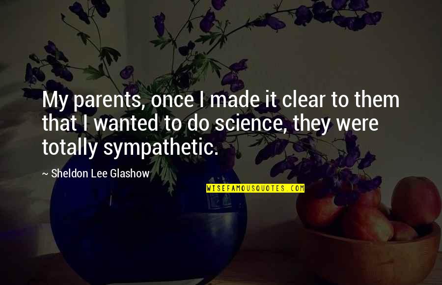 Don't Let Anyone Look Down On You Quotes By Sheldon Lee Glashow: My parents, once I made it clear to