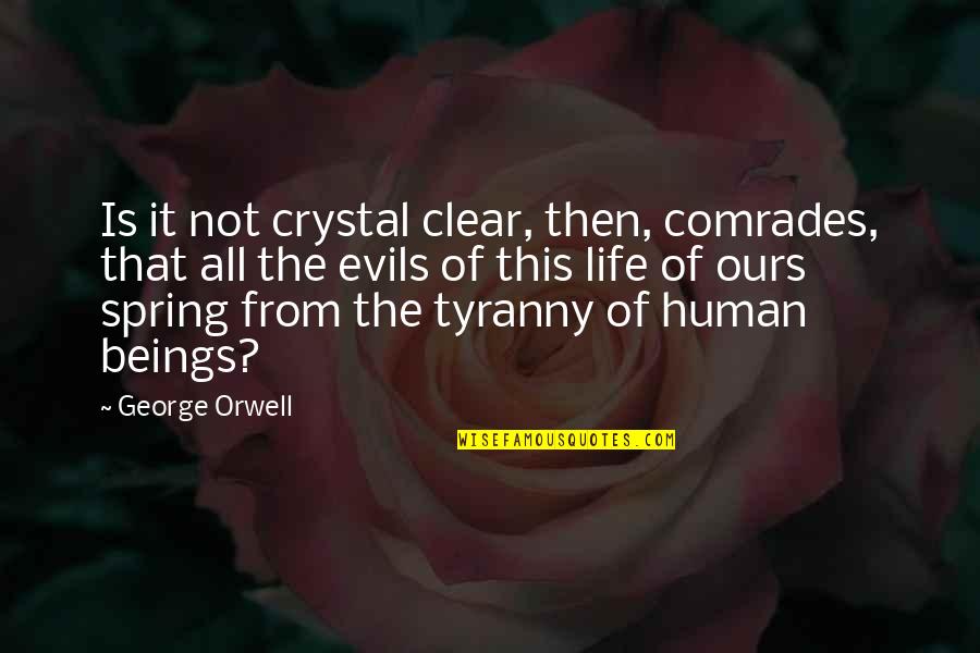 Don't Lie To The One You Love Quotes By George Orwell: Is it not crystal clear, then, comrades, that