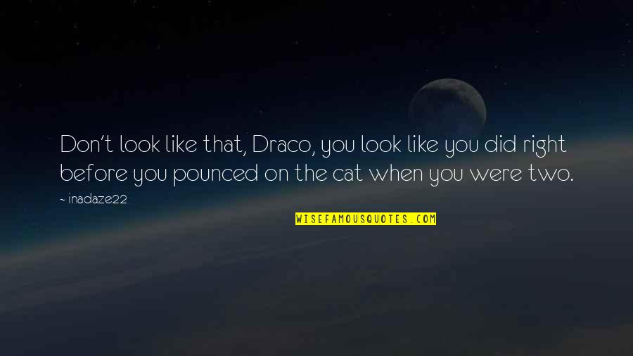 Don't Like Cat Quotes By Inadaze22: Don't look like that, Draco, you look like