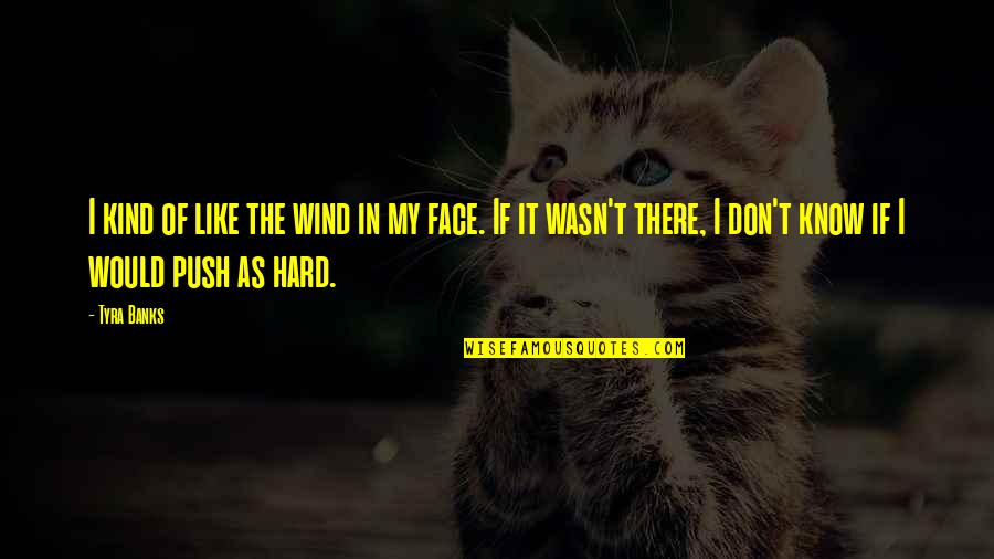 Don't Like It Quotes By Tyra Banks: I kind of like the wind in my
