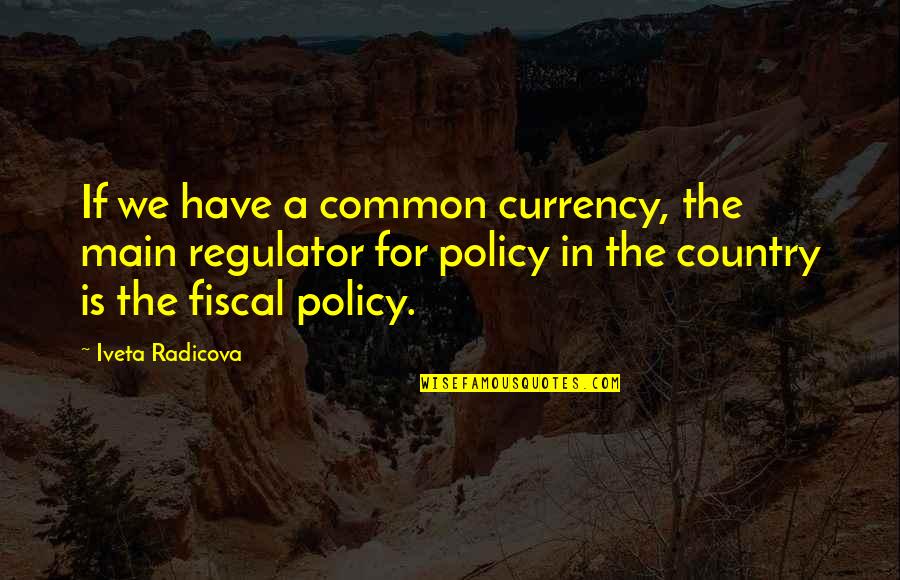 Don't Like Picture Quotes By Iveta Radicova: If we have a common currency, the main