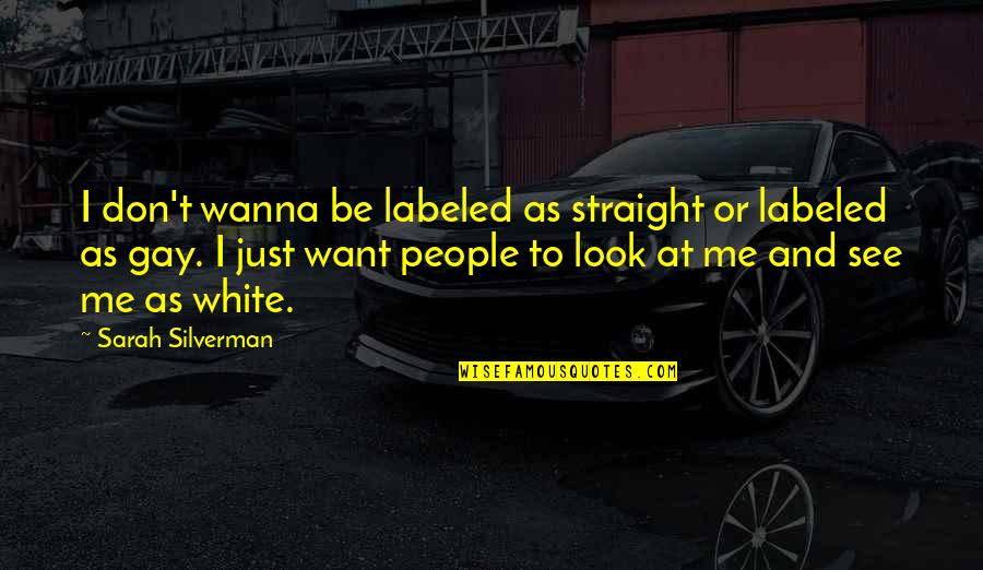 Don't Look At Me Quotes By Sarah Silverman: I don't wanna be labeled as straight or