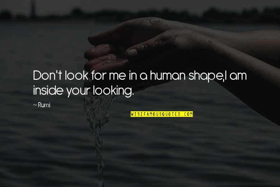 Don't Look For Me Quotes By Rumi: Don't look for me in a human shape,I