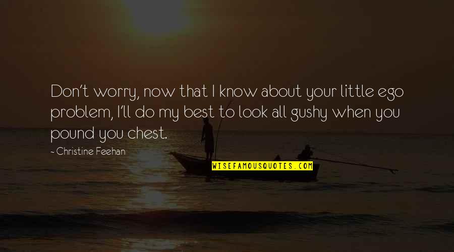 Don't Look Now Quotes By Christine Feehan: Don't worry, now that I know about your