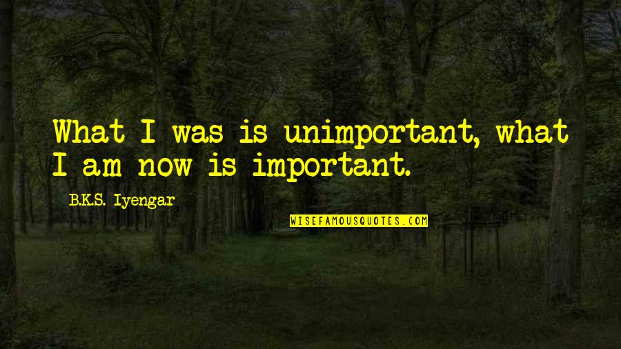 Don't Love It Hurts Quotes By B.K.S. Iyengar: What I was is unimportant, what I am