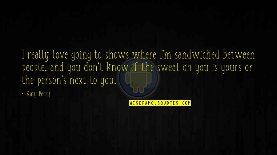 Don't Love The Person Quotes By Katy Perry: I really love going to shows where I'm