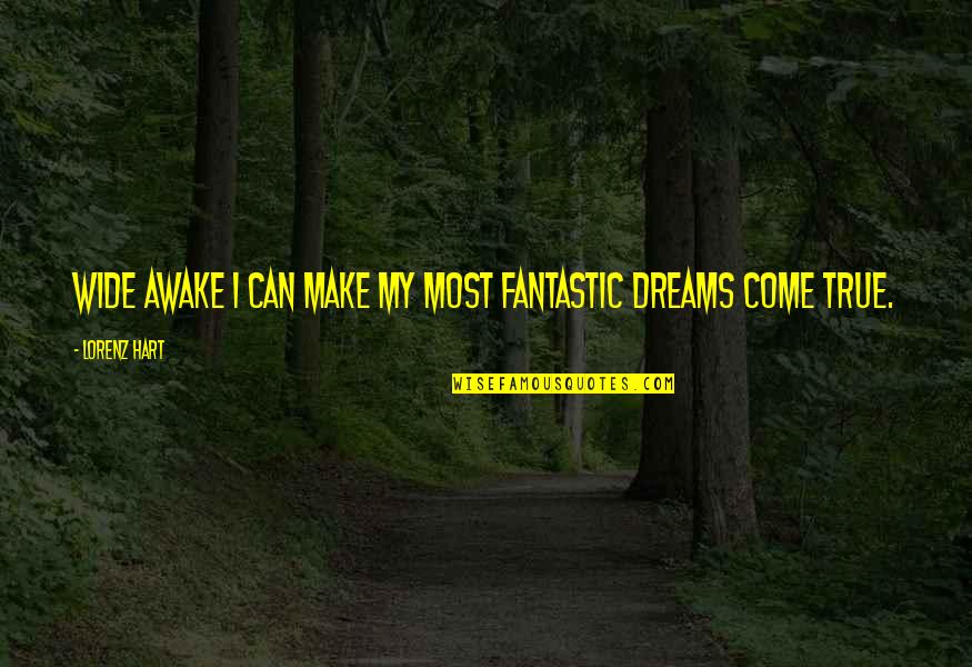 Don't Make Up Stories Quotes By Lorenz Hart: Wide awake I can make my most fantastic