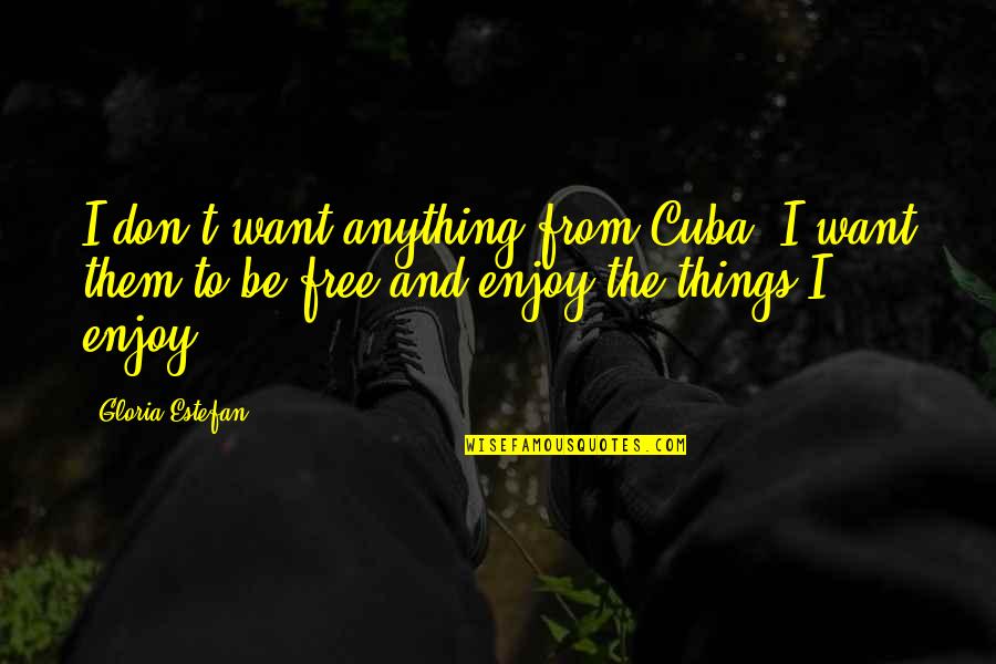 Don't Matter Akon Quotes By Gloria Estefan: I don't want anything from Cuba. I want