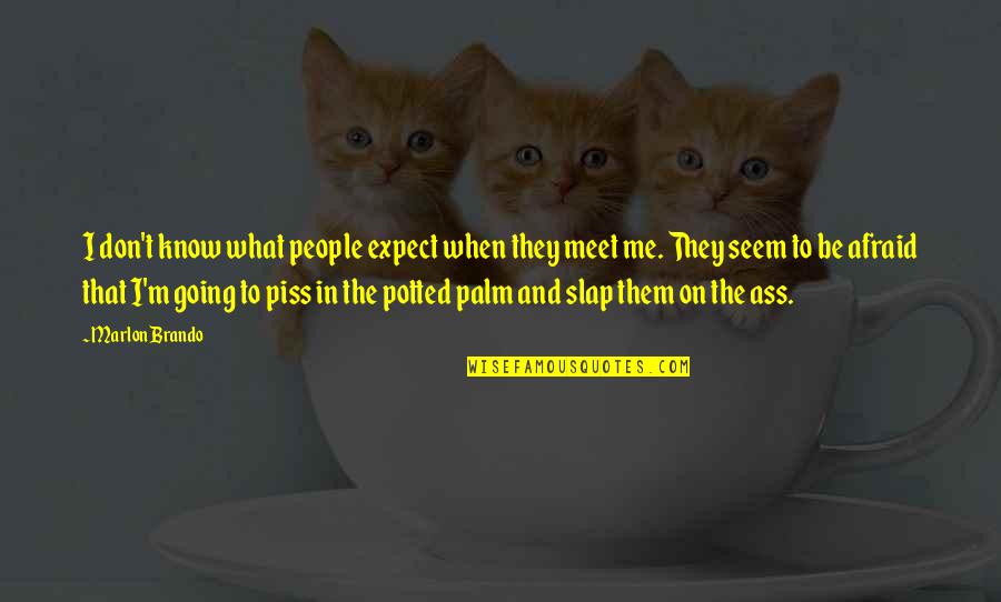 Don't Meet Me Quotes By Marlon Brando: I don't know what people expect when they