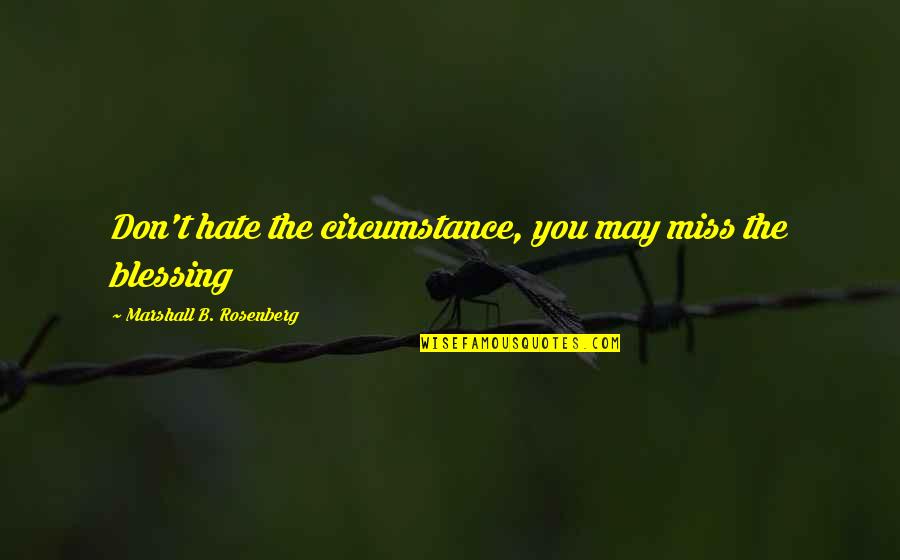 Don't Miss Your Blessing Quotes By Marshall B. Rosenberg: Don't hate the circumstance, you may miss the