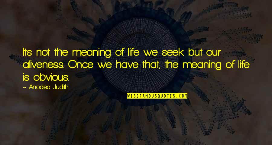 Don't Never Call A Girl Ugly Quotes By Anodea Judith: It's not the meaning of life we seek