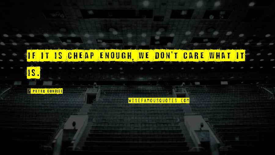 Dont Over Care Quotes By Peter Cundill: If it is cheap enough, we don't care