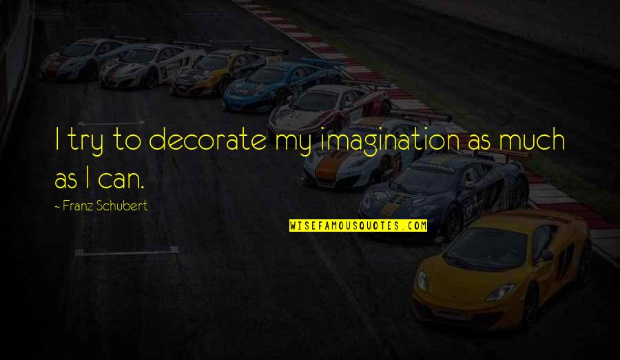 Dont Read My Status Quotes By Franz Schubert: I try to decorate my imagination as much Dont Read My Status Quotes By Franz Schubert: I try to decorate my imagination as much