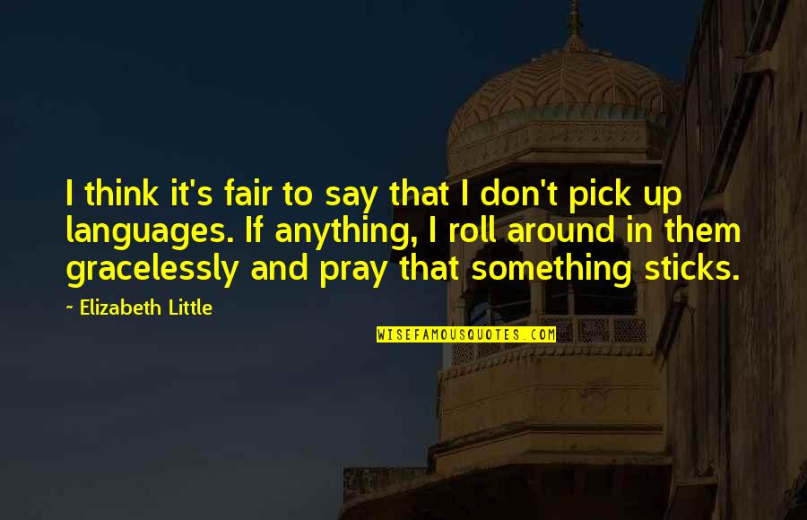 Don't Say Anything Quotes By Elizabeth Little: I think it's fair to say that I