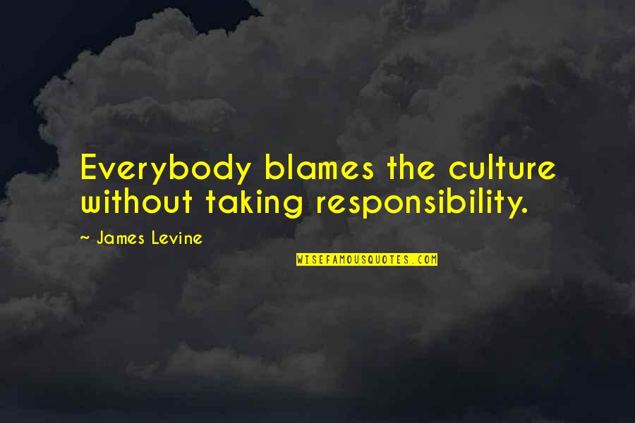 Don't Say I Didn't Try Quotes By James Levine: Everybody blames the culture without taking responsibility.
