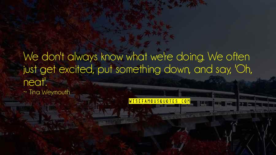 Don't Say Something Quotes By Tina Weymouth: We don't always know what we're doing. We