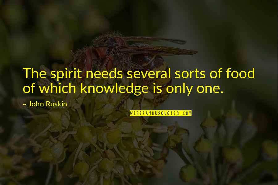 Dont Skip Meals Quotes By John Ruskin: The spirit needs several sorts of food of