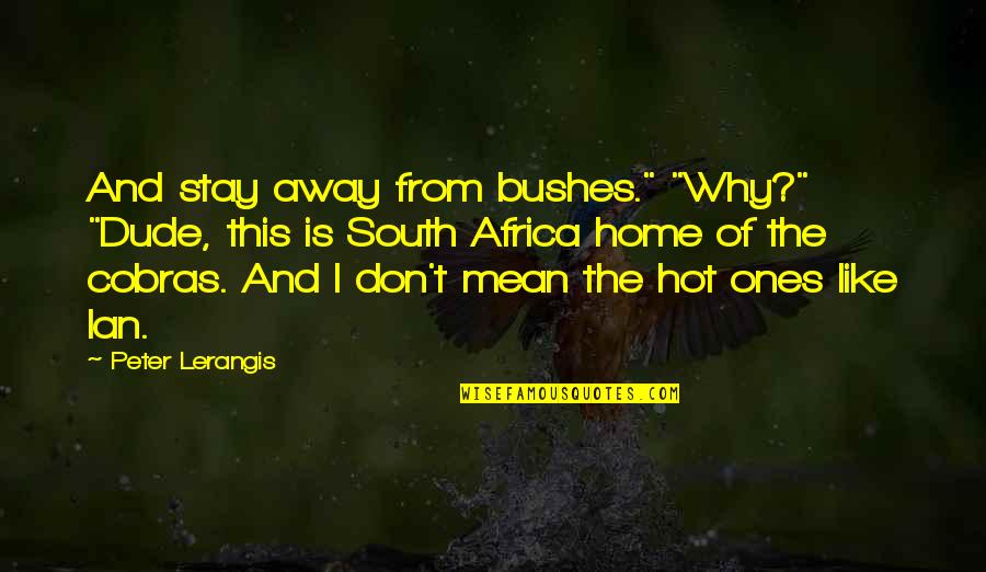 Don't Stay Away Quotes By Peter Lerangis: And stay away from bushes." "Why?" "Dude, this